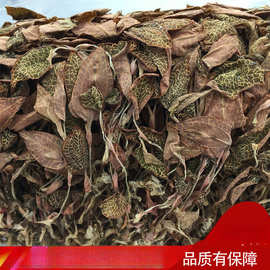 金线莲 福建 土楼 野生 整株干品 养生茶 10克到50克多规格可选批