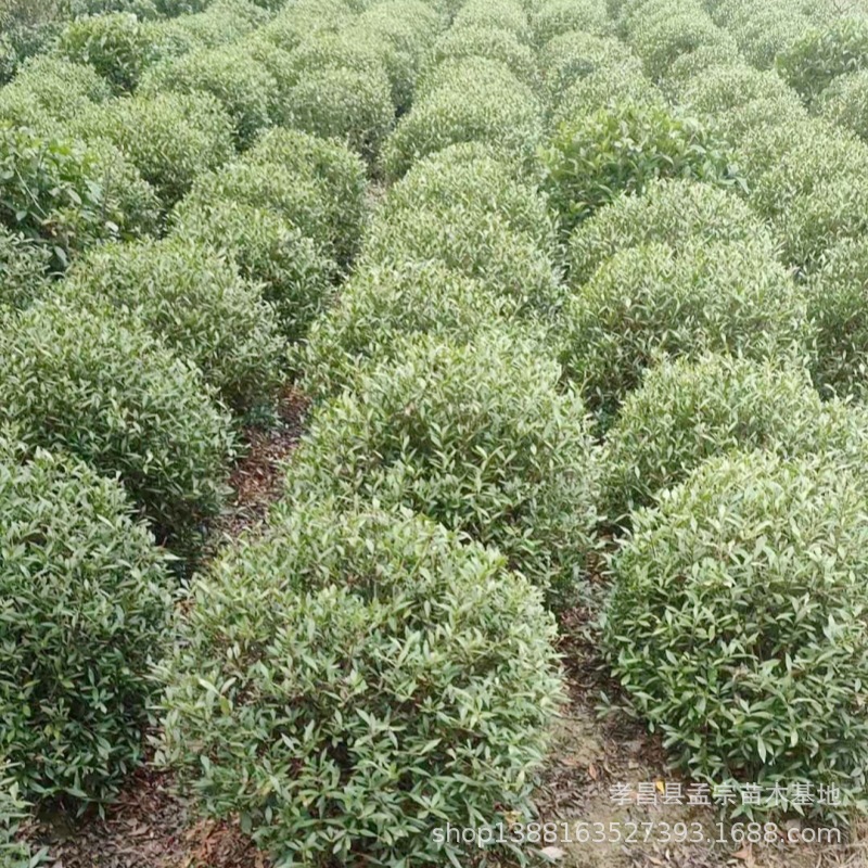 84a62f69c3455742fff518eafbf67f