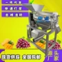 全套打浆自动哈密瓜打浆机