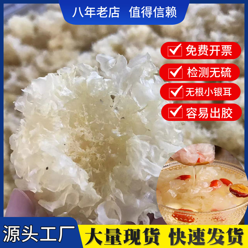 厂家直供古田高山无根小银耳干货小银耳花散装批发银耳白木耳