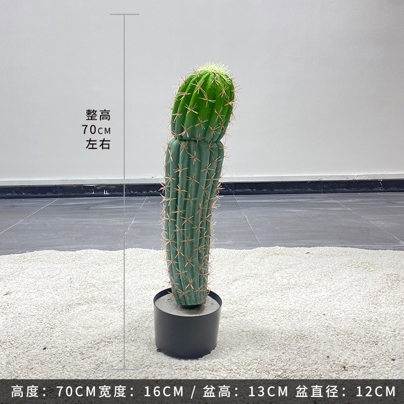 Simulación nórdica Planta verde Pilar de hadas Cactus grande piso interior sala de estar ropa tienda decoración de ventana