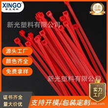 �¹��c�tɫ����100�l�b ���iʽ���������tɫ �Y�錣�� ���l