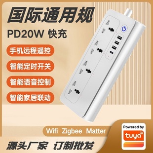 Tuya Scheme International Universal Gauge Pd20W Fast Charging Smart Power Strip Global Universal Jack with Various Plugs