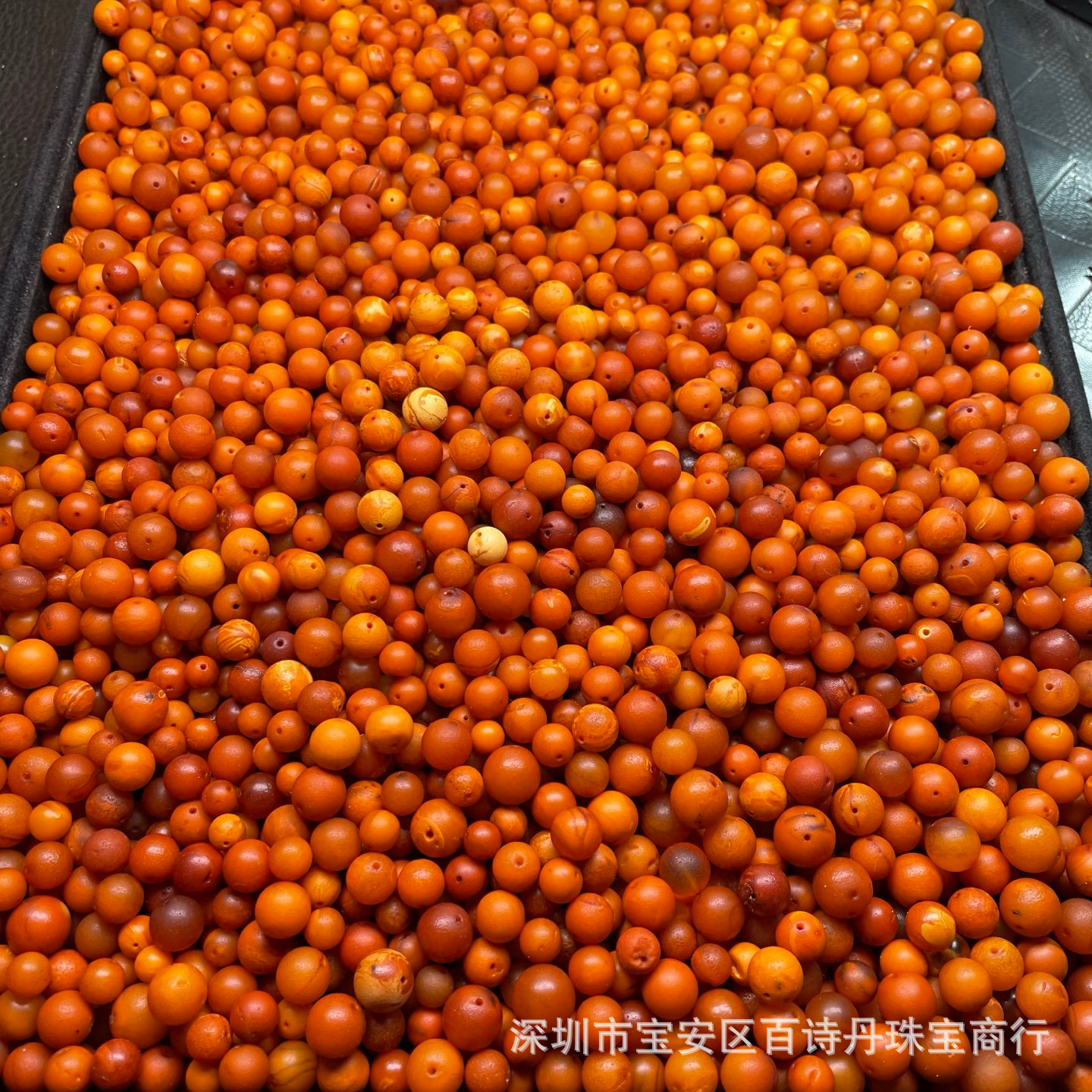 2025_03_09_20_06_IMG_0836