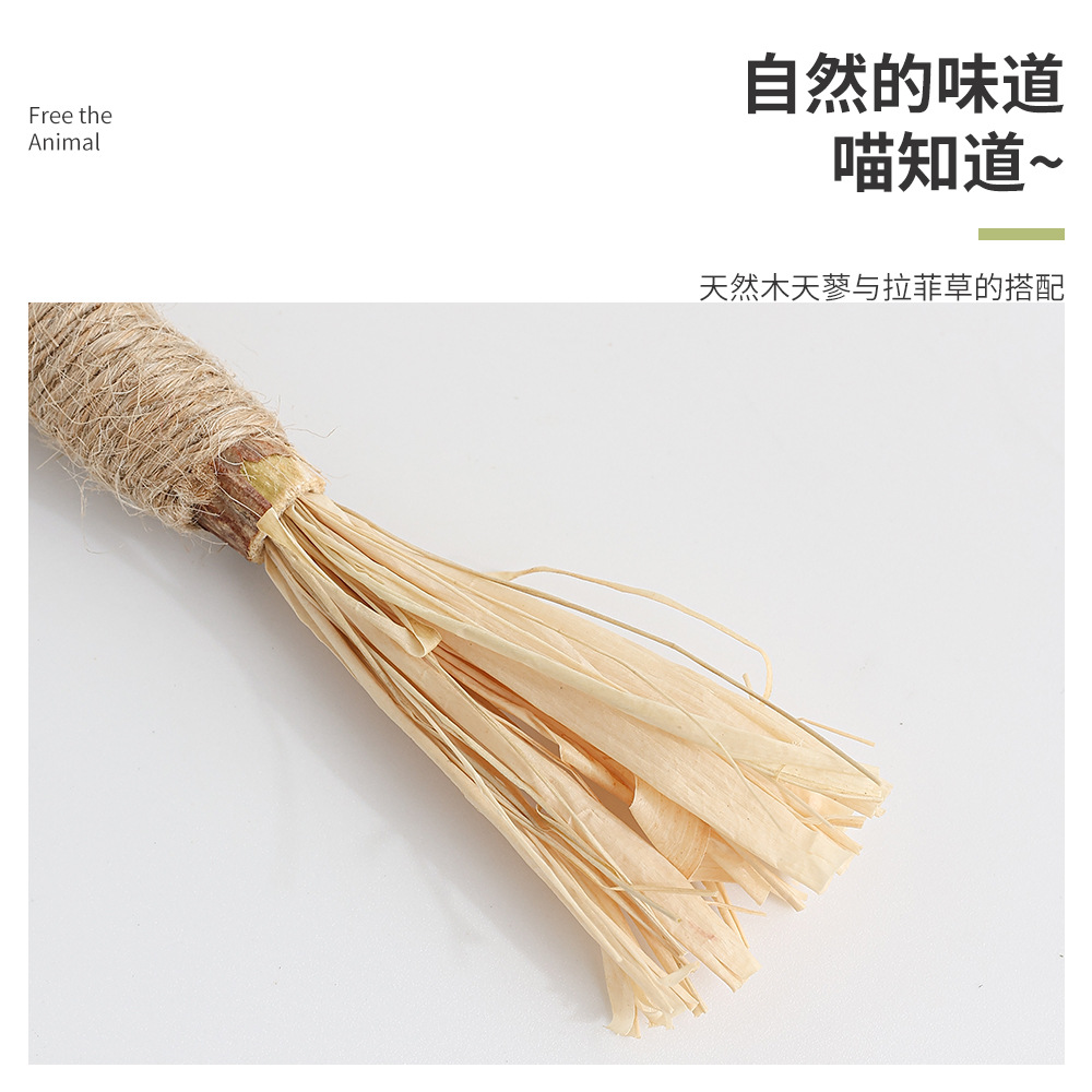 Polygonum multiflorum catnip molienda palo insecto hiel fruta gato divertido palo diente limpieza palo gato juguete silvervine palo