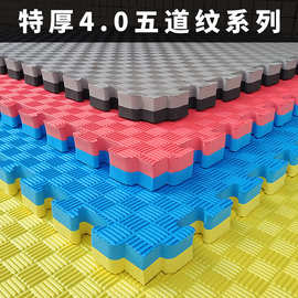 佳宏工厂运动健身武术部队训练泡沫地垫4.0加厚防滑eva跆拳道垫子