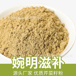 �۲��� �۲��� �۲��� ���ȫ ��؛ ����� ���N�䱳