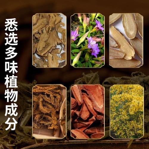 Silymarin, Ginseng, and Citrus Aurantium Liver-Protecting Patch, Hong Kong Pharmacy Moxibustion Patch, Liver-Soothing Belly Navel Patch, Health-Promoting Wellness Patch—Live Broadcast