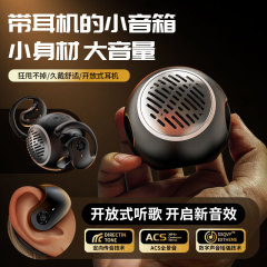 越境貿易 華強北製 イヤホン Bluetoothスピーカー 2in1 大音量 重低音 Bluetoothスピーカー 厳選