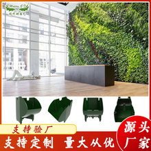 ����ֱ�����w�G��ֲ����� ֲ��G�����ࠝ�������w�M�ϻ���