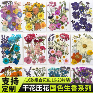 New Dried Flower Embossed Material Package Real Flower Plant Specimen Photo Frame Drops Glue Baffle Aromatherapy Candle Flower Material Wholesale