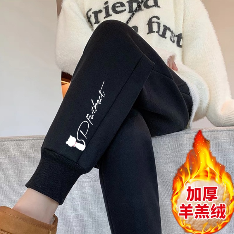 작은 흰색 고양이 셰르파 바지