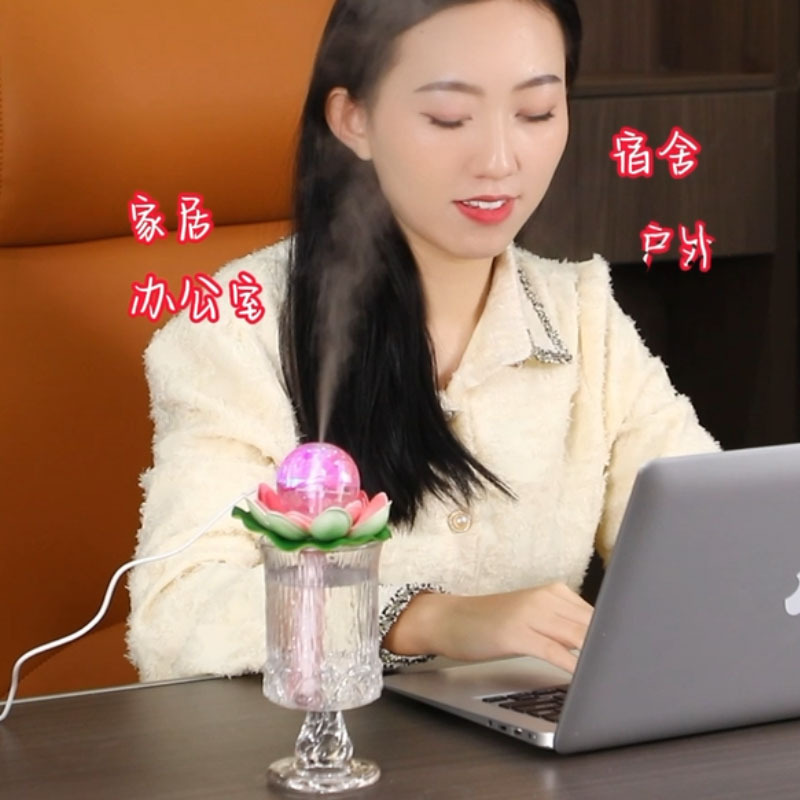 小荷花9.jpg
