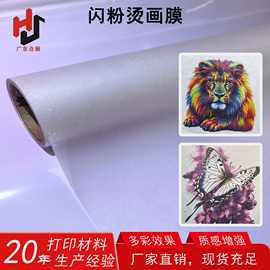 DTF彩色闪粉烫画膜 耐水洗服装热转印冷撕烫印闪光金葱粉烫画膜