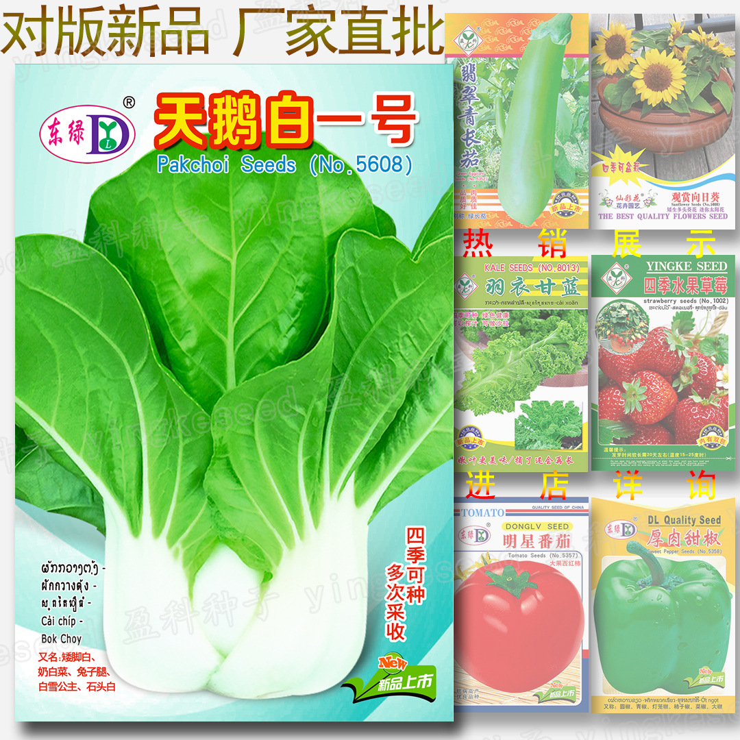 Swan White No. 1 Seeds, Four-Season Vegetables, Cabbage, Green-Stemmed Vegetables, Milk Cabbage, Rabbit Legs, Dwarf Snow White