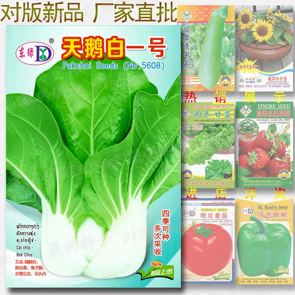 Swan White No. 1 Seeds, Four-Season Vegetables, Cabbage, Green-Stemmed Vegetables, Milk Cabbage, Rabbit Legs, Dwarf Snow White