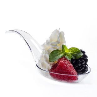 PS Plastic Cross Border Amazon Transparent Dessert Spoon 12cm Cake Mousse Pudding Spoon Chinese Spoon in stock Black and White