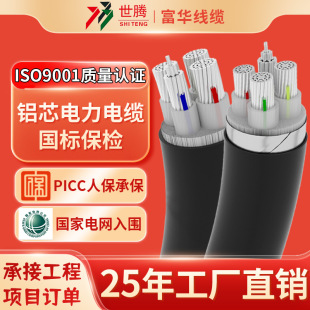 �����Xо��|YJLV3 4 5о�����|��16 25 35 70 185ƽ�������ľ�