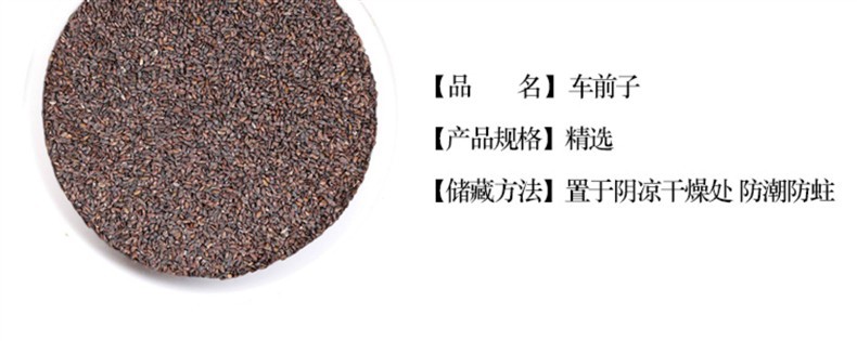 Wild Plantain Seed Che Qian Zi 500g Dried Seeds for Herbal Tea and Decoction overview