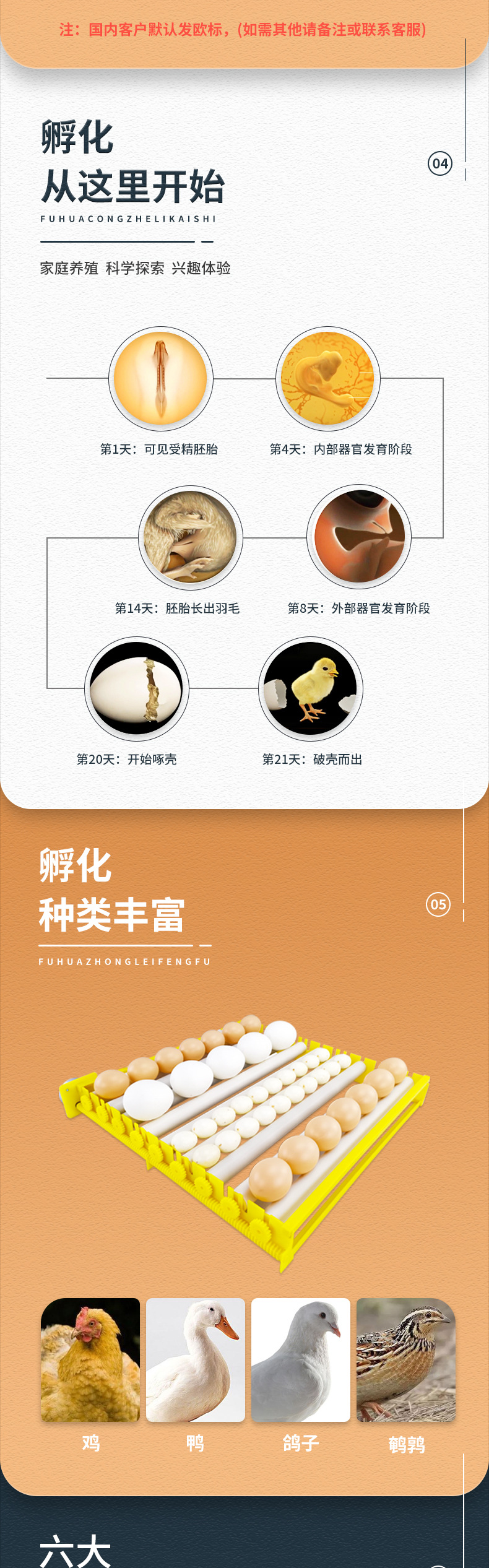 56枚单电源（滚轴蛋盘）-已修改_03