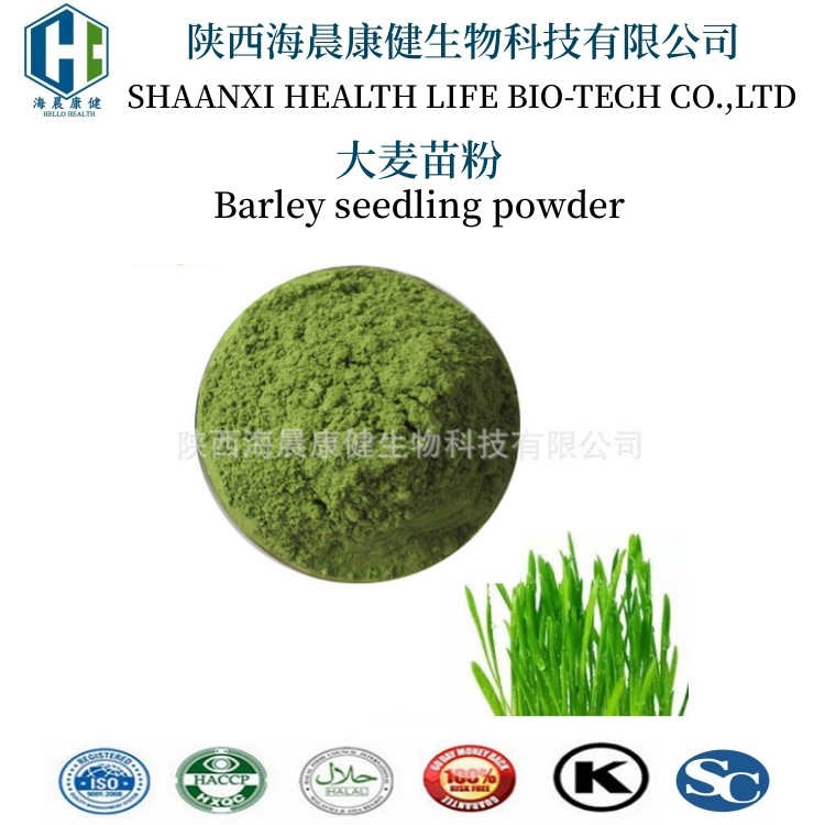 大麦苗粉 大麦若叶青汁粉水溶性大麦草粉海晨康健现货大麦若叶粉