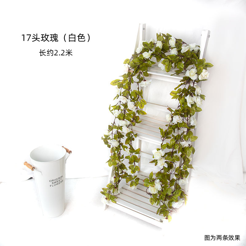 17송이 장미 - 화이트