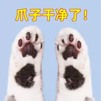 Артефакт для мытья лап собаки, без чистки, чистка лап, уход за ногами, мытье лап Тедди, пена для чистки лап домашних животных