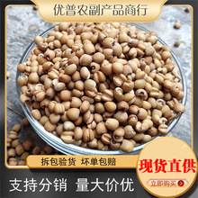 ���������F���S޲��500��*3��޲����С��������s�Z�S޲����