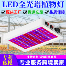 谦润照明植物专用补光灯全光谱LED量子板室内种植生长灯温室大棚