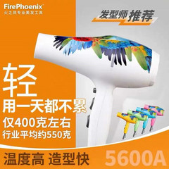 火の鳳5600Aオウムの電気ドライヤーのスタイリストの専用の専門の超軽い髪の廊下の理髪店の家庭用の風筒