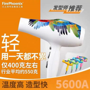 Fire Phoenix 5600A Parrot Hair Dryer Hair Stylist Special Professional Ultra-light Hair Salon Barber Shop Home Drill