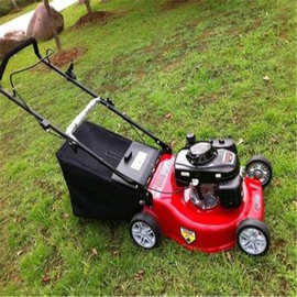 手推式草坪机21寸多少钱台 背负式割草机割灌机图片背负式打草机