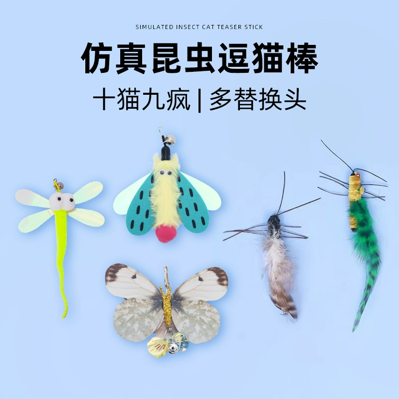 Насекомое насекомое дразнит кошачью палочку игрушку с привет