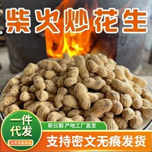 代发原味炒花生克批发农家带壳柴火铁锅砂炒传统香脆群木裹衣散装