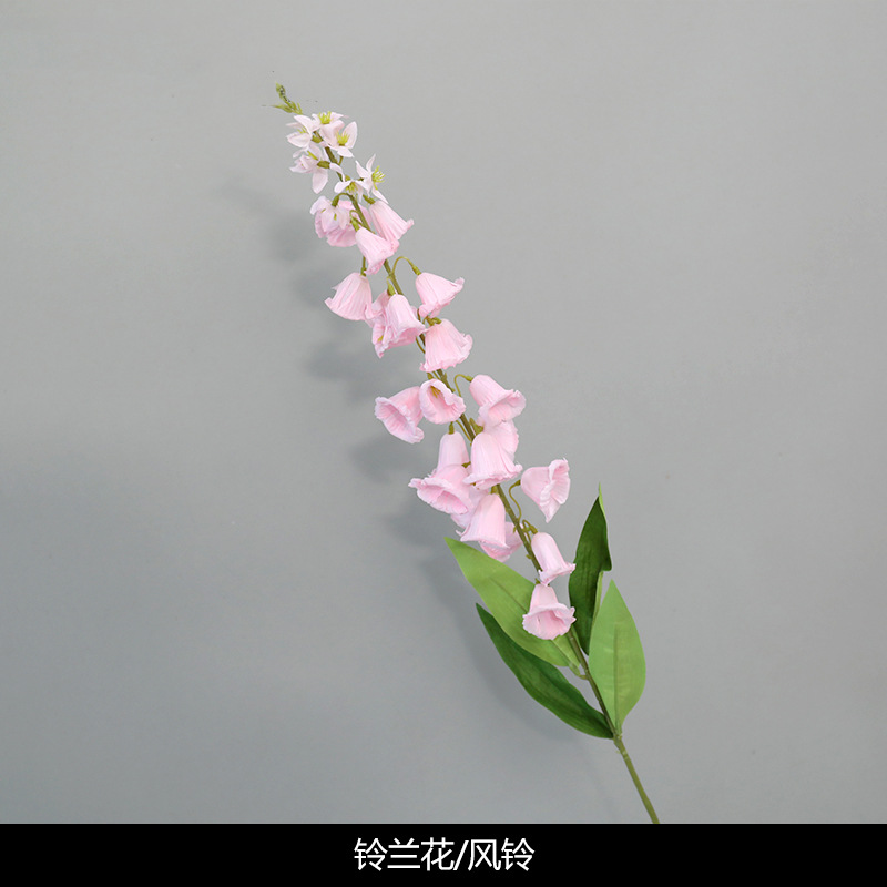 계곡의 백합