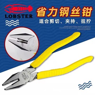 �ձ��r�� LOBSTER �z��늹�䓽z�Q ʡ���ϻ��Qƽ���Q 8�� 2508G