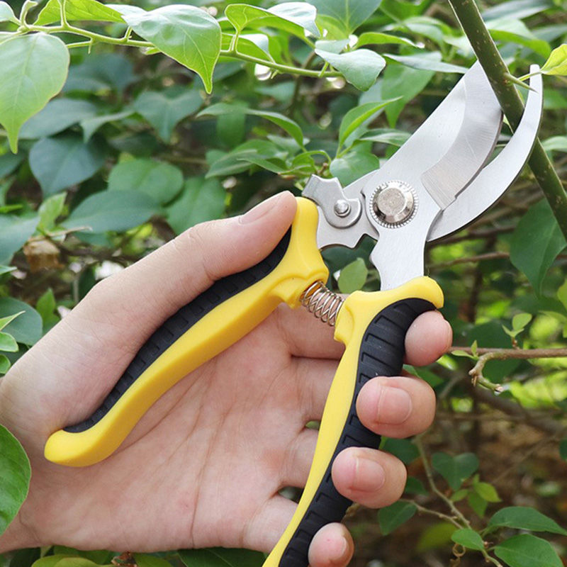 scissors branch trim branch Fruit tree Shears Flower Scissors Pruners Gardening shears Scissors tool