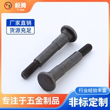 Դ�^�S�ҳ���͹����˨�ߏ��ȷǘ˶�����˨����������͹����˨