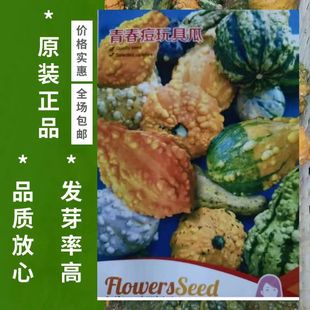 �ഺ������ϹϷN�ӹ����r�G�ɫ���S�G���θ��Ӵ��������^�p�Ϲ�