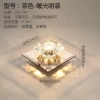 Brown warm light concealed decoration