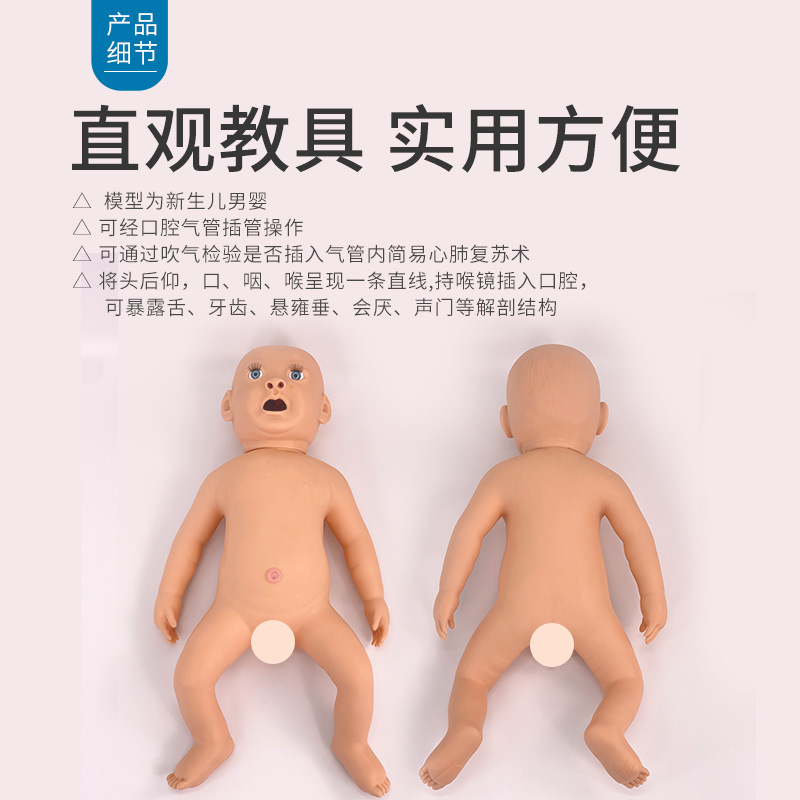 Ӥ���ķθ���ģ���� ҽѧ����ѵ�� ����ģ�� С�����ܲ��ģ����