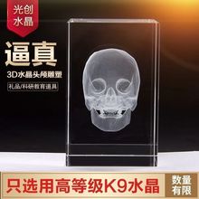 可换图案医院大脑骷髅头模型3d内雕模型摆件3d立体内雕楼模型