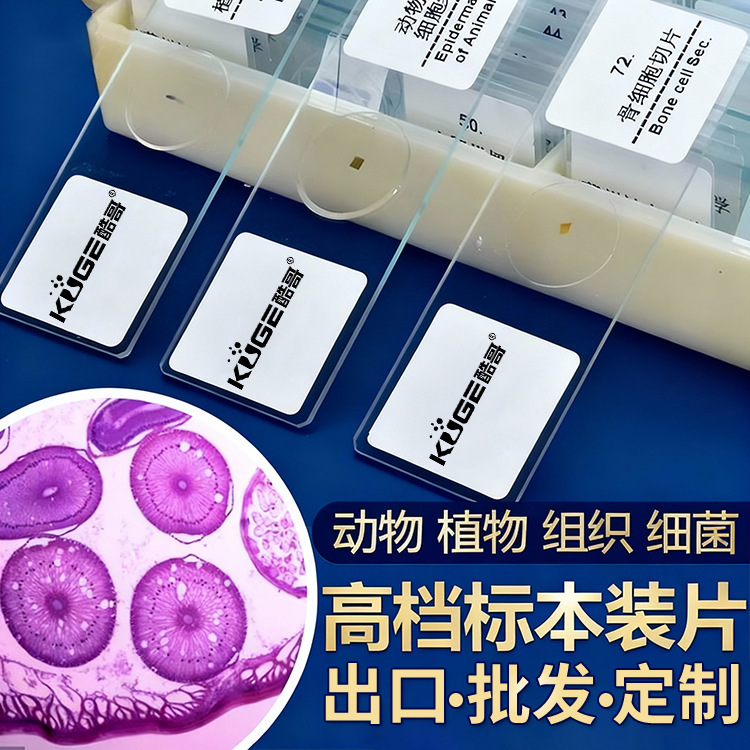 Biological Specimens with Clear Structures, Typical High Education Laboratory Sections, 10 Typical Sections, Experimental Class Teaching Slides