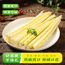 舌头君500g箭笋尖火锅竹笋串串食材清水竹笋斜切春笋野生新鲜脆笋