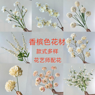 �㙉ɫϵ���ĚWʽ��Y·�����Ż�Y���bҾ�ܛ�b·���������l