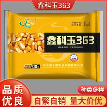 鑫科玉363杂交玉米种子 杂交玉米种子批发杂交玉米种子