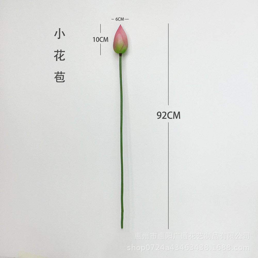 새싹