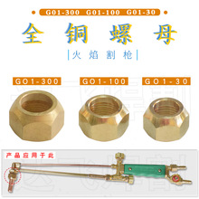 G01-30 100 300ȫĸݽzñ昌^