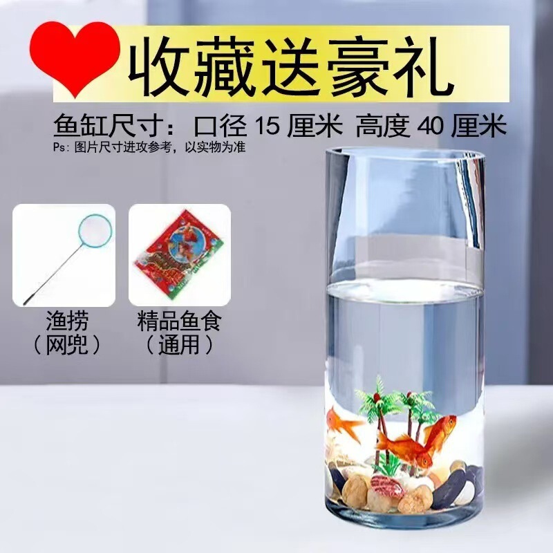 ラウンド水槽円筒形金魚水槽ガラスデスクトップリビングルーム透明小型家庭用カメストレート生態造園水槽|undefined