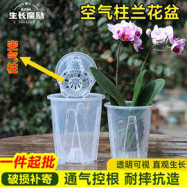 透明蝴蝶兰花专用花盆透气套盆控根盆营养钵育苗杯养兰花花盆批发